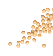 soya